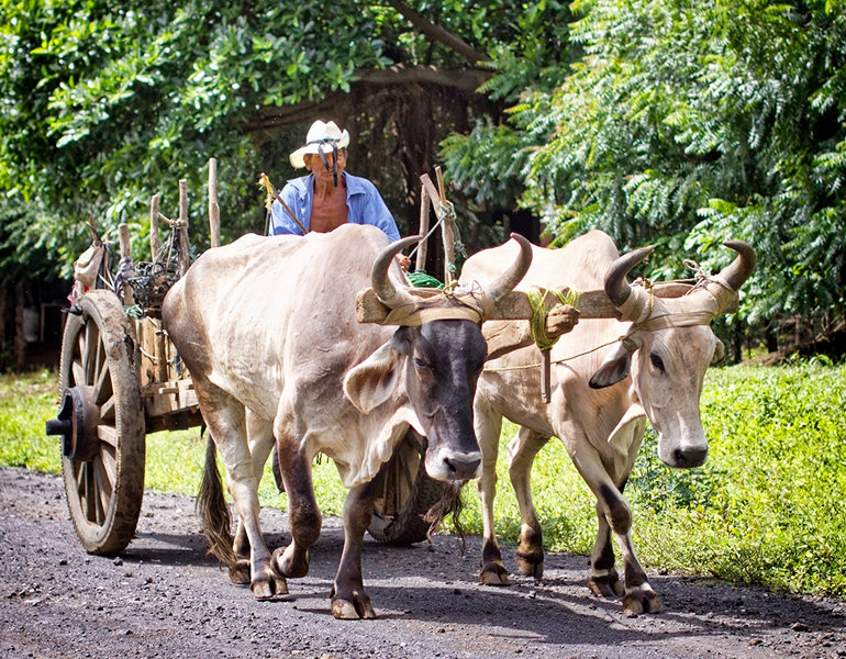 Turismo rural y comunitario en León, Nicaragua